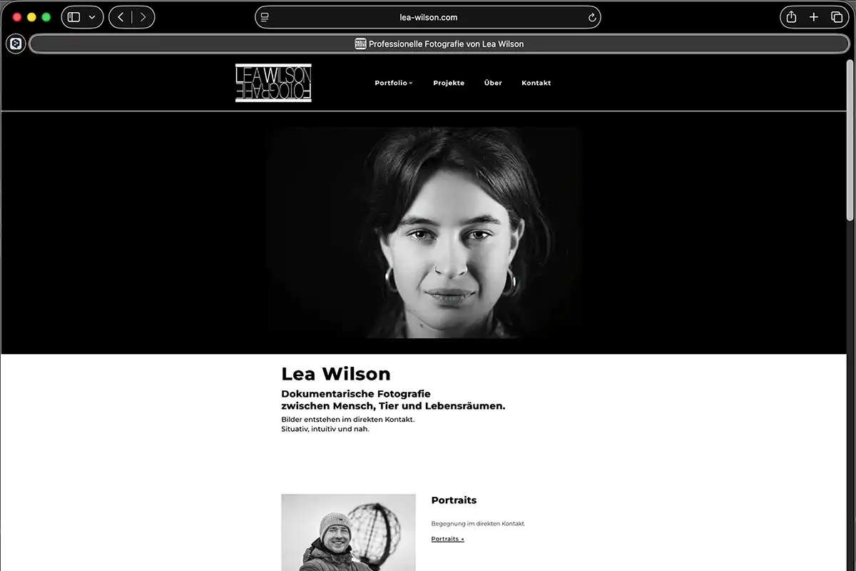 Bildschirmfoto eines Webprojektes von Wilson Visibility